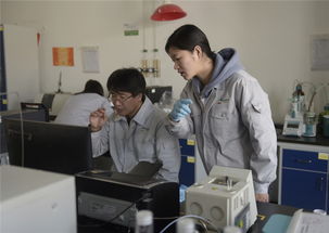 發展新材料產業 綏江縣助推高質量發展的戰略路徑