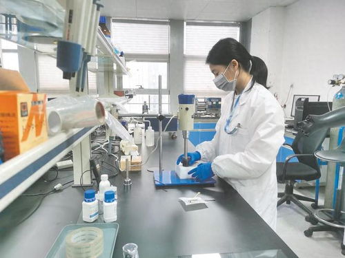 南寧市聚力政策落實與科技研發，賦能民營經濟高質量發展